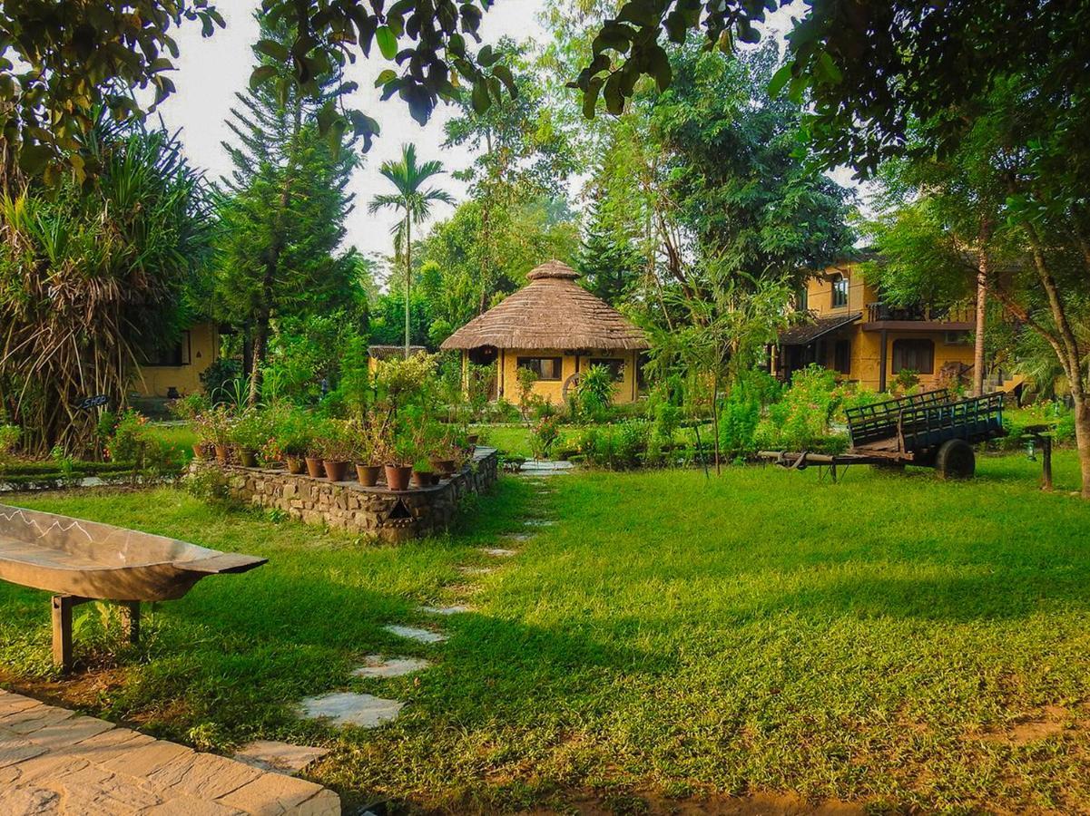 Sapana Village Lodge Sauraha Extérieur photo